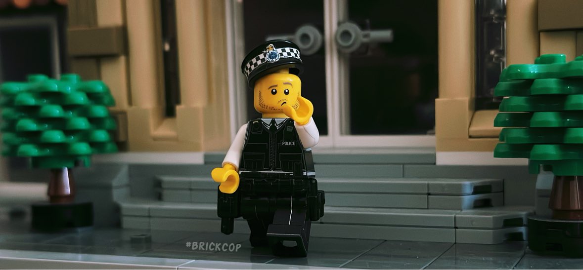 Brick Cop©️ tweet media