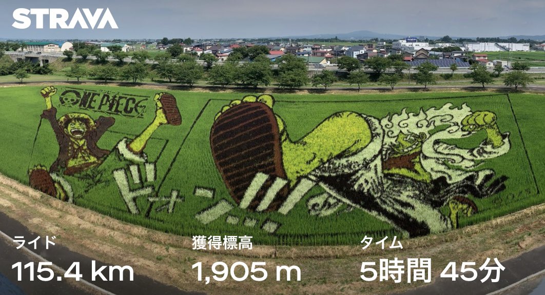 ShigeTani1129's tweet photo. 田んぼアート見てからの十和田湖クライム 7割くらいは🌳に囲まれ、標高も有り以下と涼しい でも汗💦すげぇ えっ今日4リットルも飲んでる。リュックの中 ペットボトルでいっぱい😳青森 ゴミ箱無い問題🥺
#RedBeco https://t.co/v9Ka4DrCSZ
