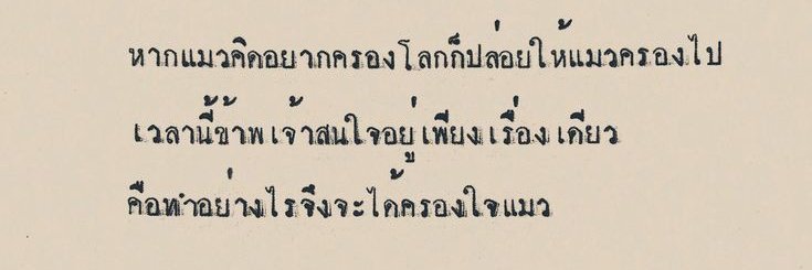 🦮 ( 507 ) tweet media