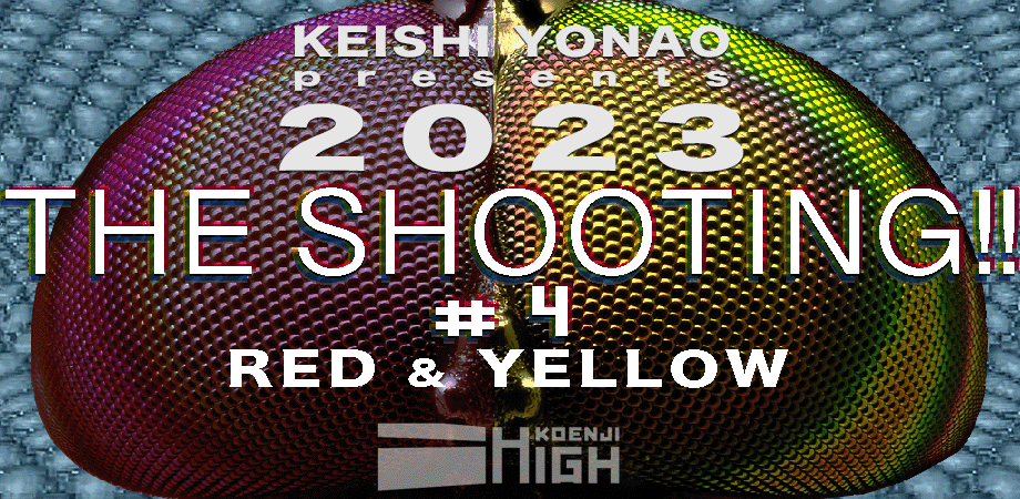 yonao's tweet photo. THE SHOOTING!!#4 ~ Red & Yellow ~
アーカイブ配信
08/05 (土) 23:59までhttps://t.co/AFhOuPJuQb
#STG_M #VGMLIVE #夏イベント #shoootinggamemusic #BATSUGUN #METALBLASK #NEURALGEAR #NEVERAWAKE #RAGINGBLITZ https://t.co/Fbf9XBbYCk
