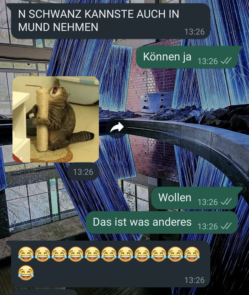 Böser Papagei Nick tweet media