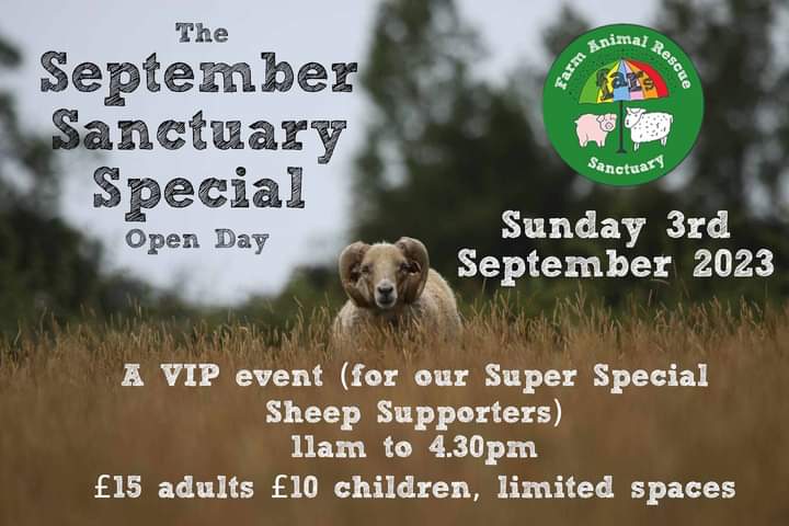 fars_sanctuary's tweet photo. 📢 #FARSOpenDay 📢 
We're super-excited to announce our "sanctuary special" open day, coming up on Sun 03 Sept. Places will be limited to allow for longer tours &amp; more cuddle time with the animals 🤗 &amp; to make it a quieter, more relaxed occasion 💖 Booking to open VERY soon 🎉🎟 https://t.co/YTm3wxvXCC