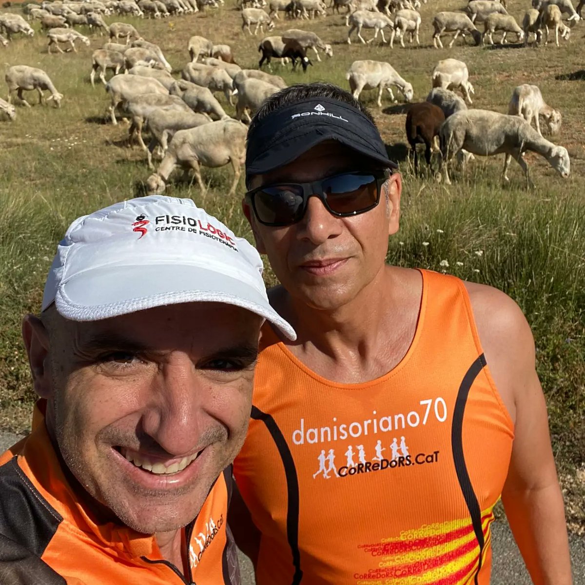 danisoriano70's tweet photo. Salida por Palomar con @Barceruel
1️⃣0️⃣3️⃣4️⃣‼️‼️
#runeveryday
#correcat
#day1034
#metodosori
#RonhillSpain
#drinkingrunners #kmsxalimentos #nofunnorun
#mrfree
#amibola
#retodravet
#pieldemariposa https://t.co/kkhXW107Kc