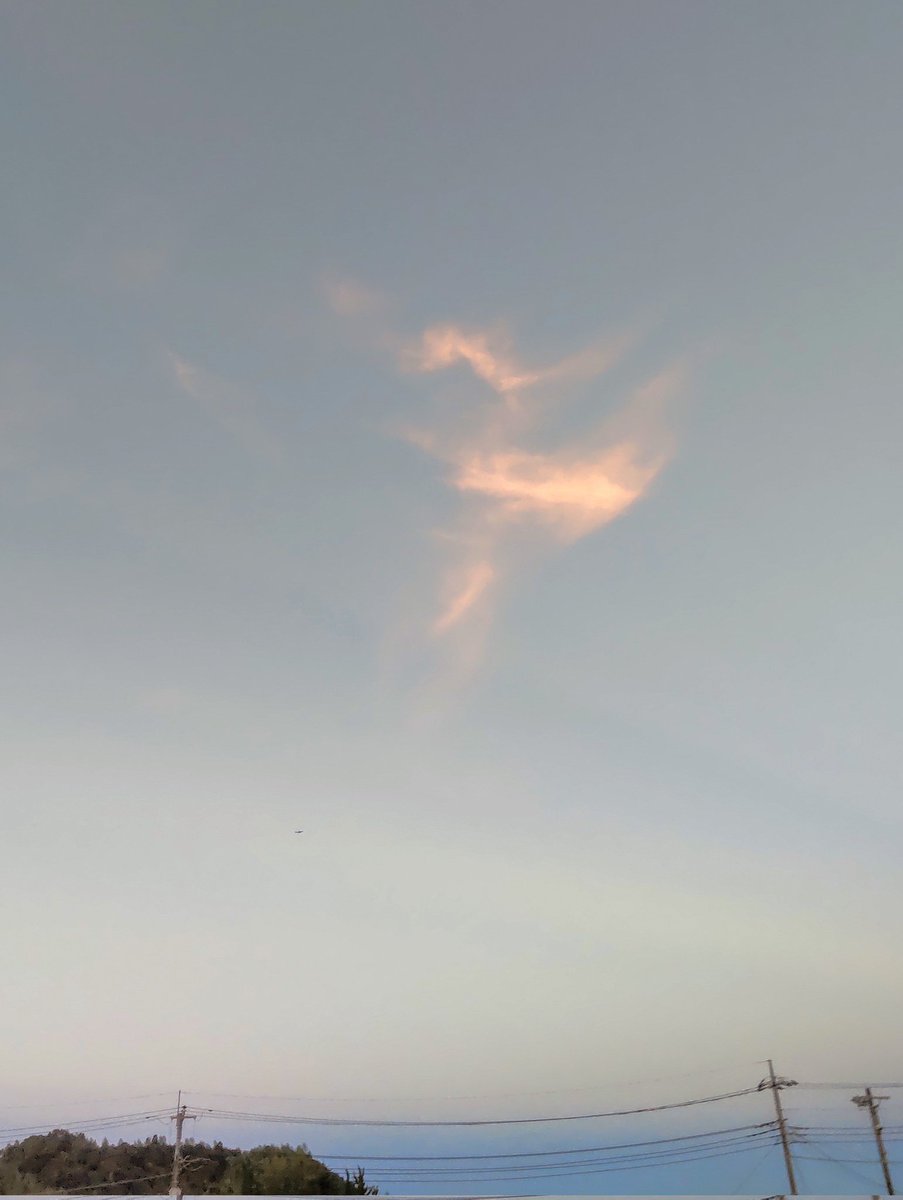 （7月VIP 15%off中） 名残月です❣0715 七月