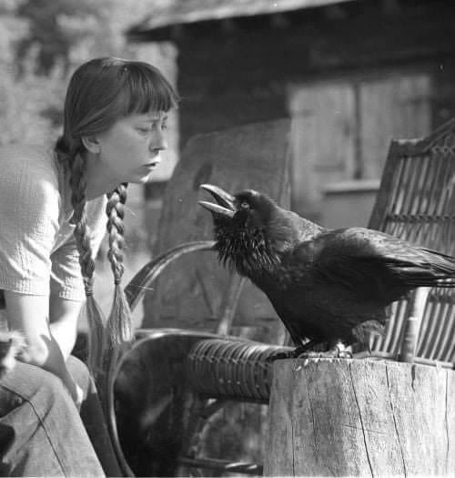 Simona Kossak (1943-2007) Polish biologist, ecologist, author, PhD in forestry, and uncompromising conservation activist They called her a witch because she chatted with animals and owned a crow, who stole gold and attacked bicycle riders. She spent more than 30 years in a wooden