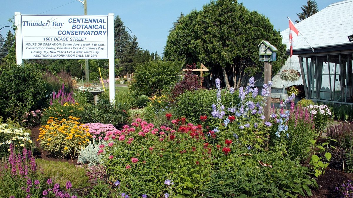 friendsTBcon's tweet photo. Today is #InternationalDayofFriendship! Why not bring a friend and explore #ThunderBay's Centennial Botanical Conservatory and the International Friendship Gardens, only a pleasant stroll apart.
#TBay #Friendship #ActiveTBay #WalkTBay #Gardens https://t.co/cn9DUqIyZu