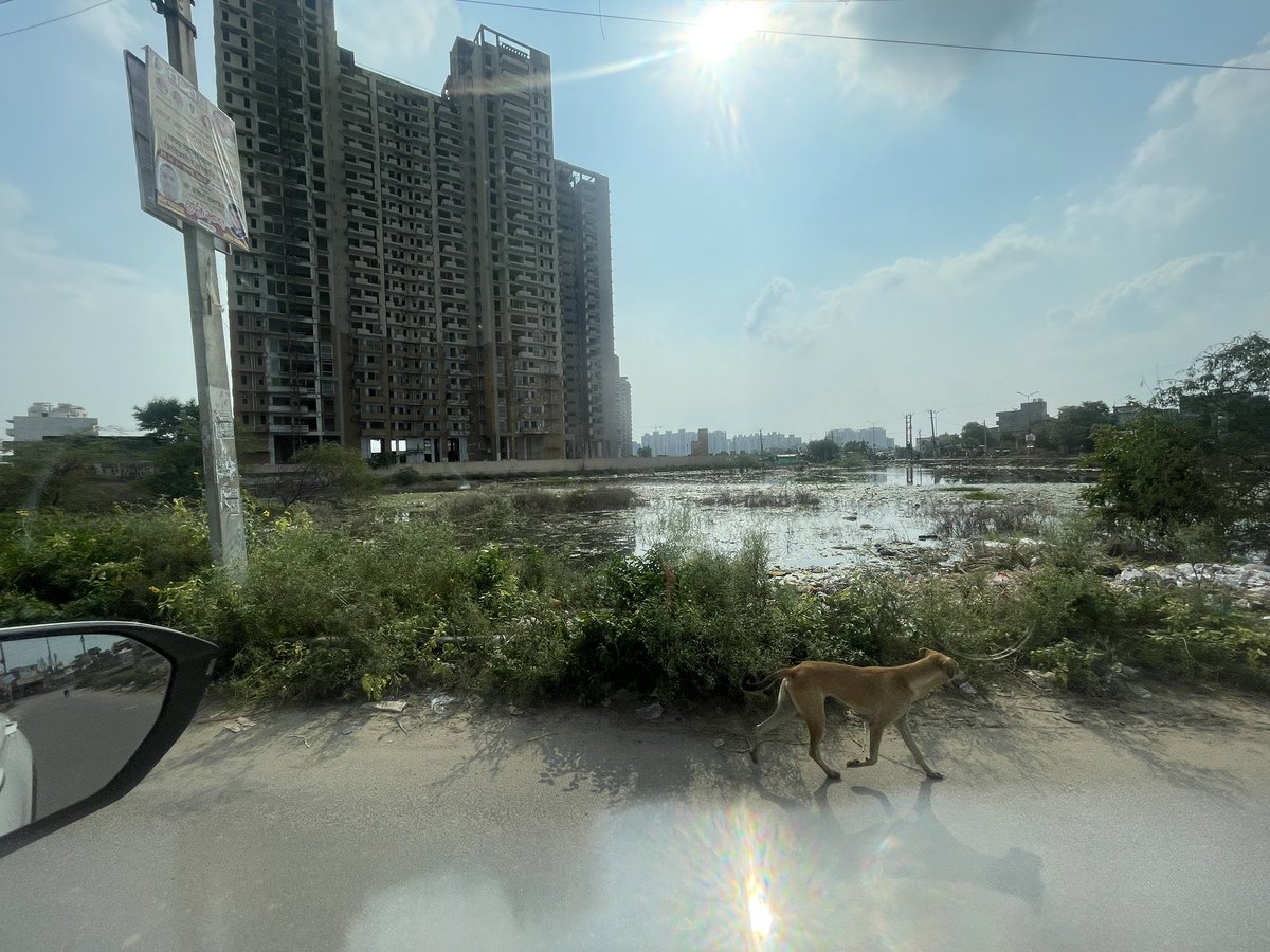 ArushJoshi4's tweet photo. @cmohry @anilvijminister @mlkhattar @rakeshdaultabad 

Respected Ministers - This is the current roadside situation in Sector 37 C, Gurgaon inviting multiple diseases. Request you to kindly take appropriate action &amp; penalise societies dumping their sever waste. Thank you. https://t.co/RxJGmJp1tC