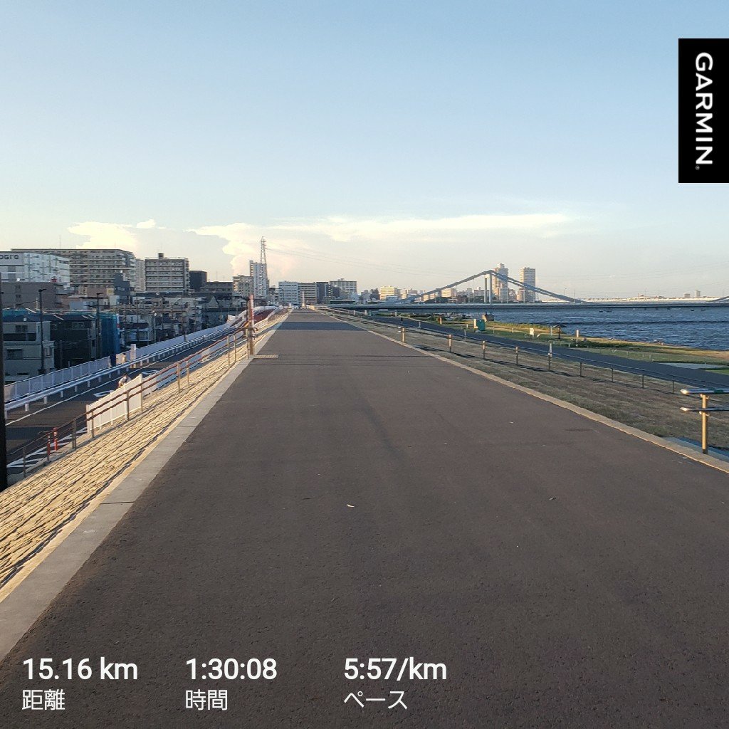今週は
月曜5.2k
木曜10.7k
土曜5k
日曜15.2k
写真はどなたも映ってませんが、暑いにも関わらず河川敷はランナーの方が多く、励まされますね。
今月は週末の回数が多いこともあり何とか150k到達✴️
暑さの割に頑張れました～👍