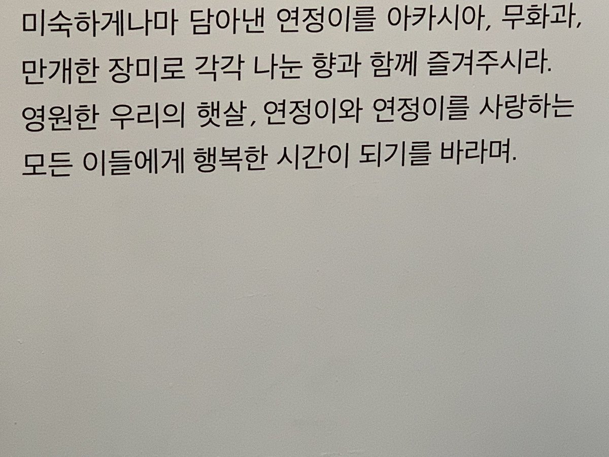 가치 추억팔이 할수있어서 너무너무 행복했던🥹🥹🥹🥹🥹💙💙 
#해피벌떼걸연정이