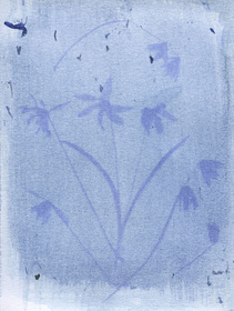 alternativephot's tweet photo. We're prepping for World Anthtoype Day 2023. First out is my (Malin Fabbri) anthotype print using Assam Tea, and Mary Kocol using Squill. More to come during the next couple of weeks!
https://t.co/PaMKRDk73O
#anthotype #anthotypeday #worldanthotypeday https://t.co/9PO3vNae18