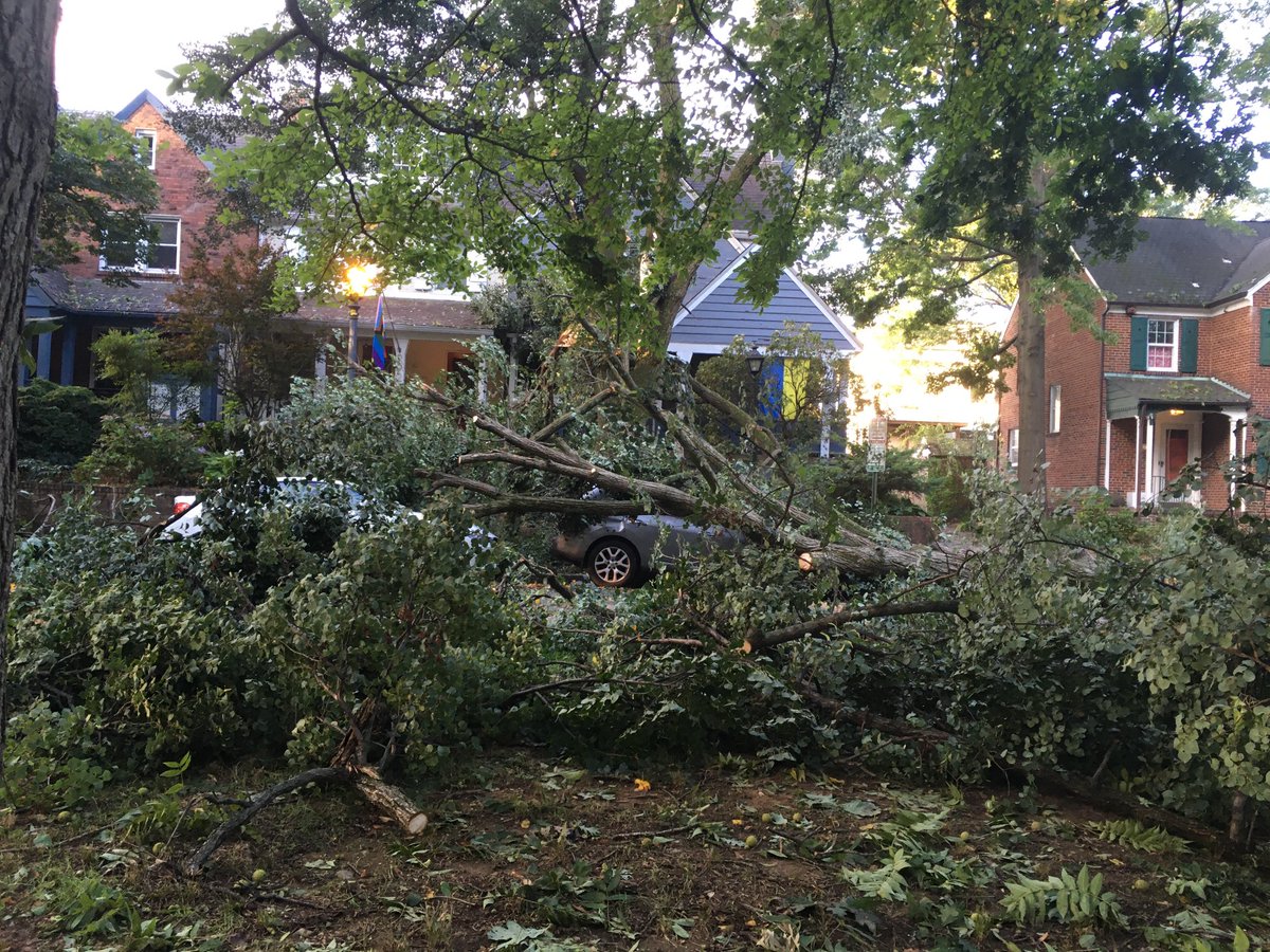 barbaraslavin1's tweet photo. #DCstorm https://t.co/HtNtDFOuWX