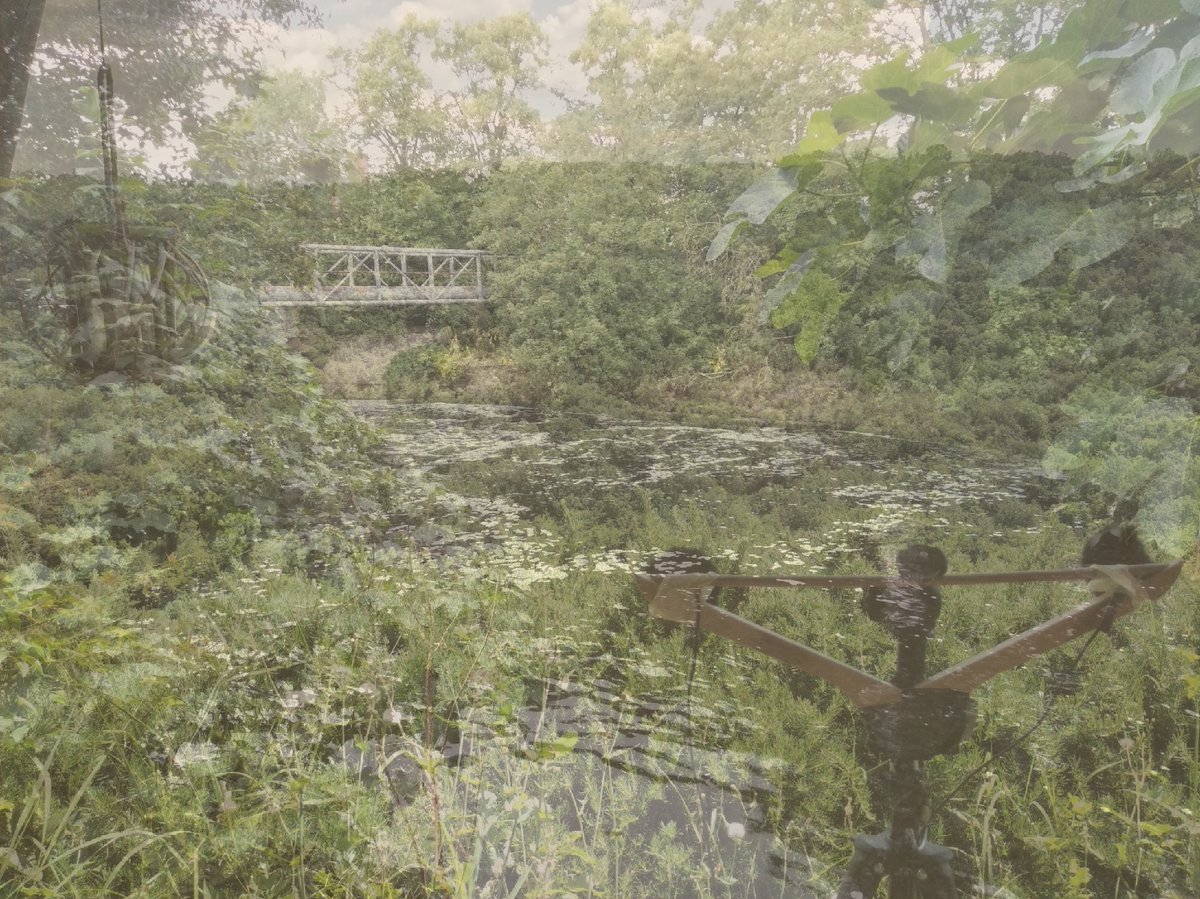 All our shows from the past week – including new music, sound and art with <a href="/FlamingPines/">Flaming Pines</a> <a href="/Sonologyst/">Unexplained Sounds</a> <a href="/postelectronics/">Dan Wilson</a> <a href="/NaviarRecords/">Naviar Records</a> <a href="/maxrnr/">Maximum Rocknroll</a> <a href="/EtchedTraumas/">Etched Traumas</a> <a href="/thewiremagazine/">The Wire Magazine</a> <a href="/femalepressure/">femalepressure</a> @mattigajek <a href="/bobby_jewell/">Bobby Jewell</a> and Tilman Hornig – are now on Mixcloud: shorturl.at/choH1
