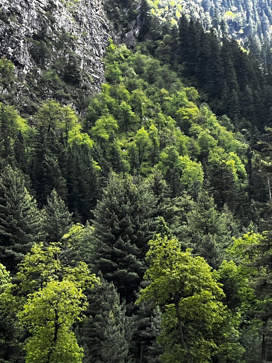 vpsheejith's tweet image. @vpsheejith #nature #GrumpyLetMeIn