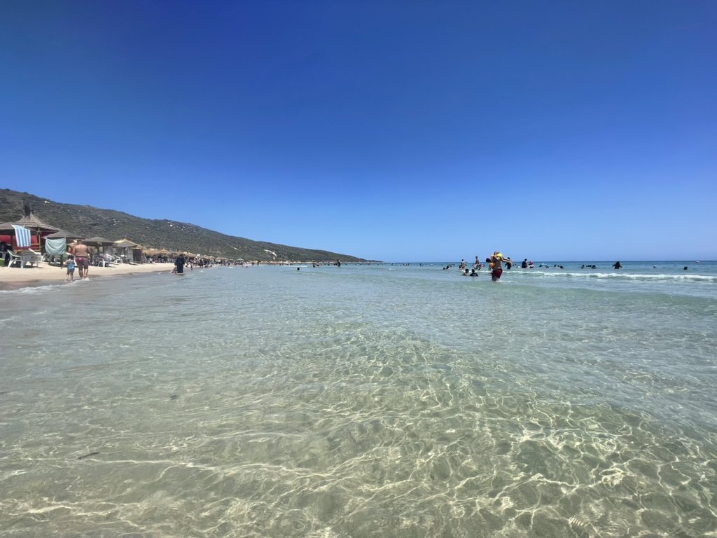 Dr. Oula Amrouni د.عُلا العمروني tweet media