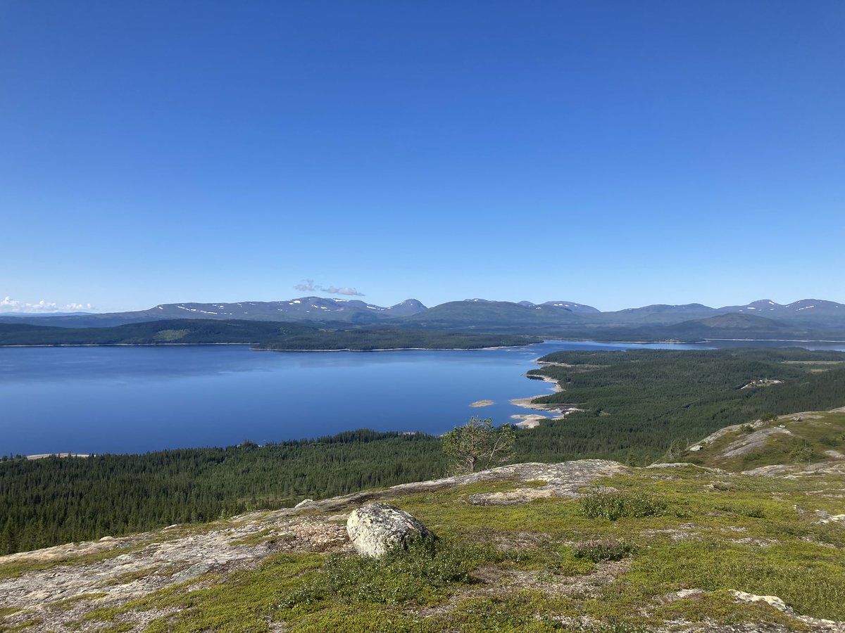 Nått att vila ögon och tankar på.