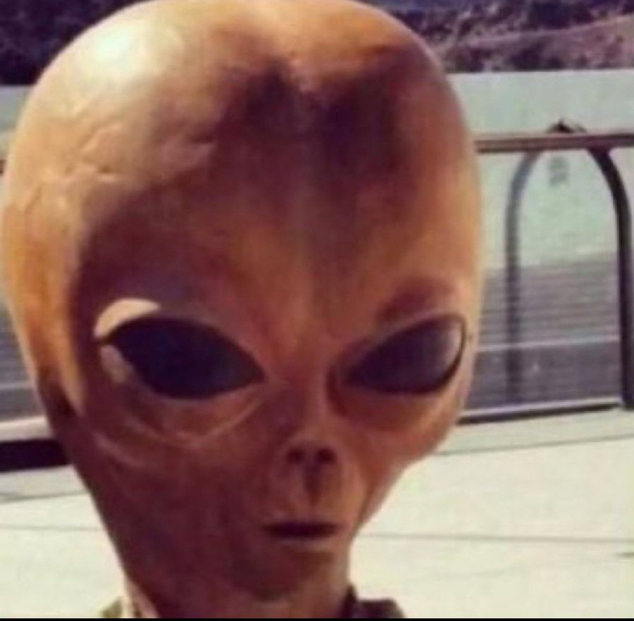 RafaelAndresPB's tweet photo. Yo explicándole al alien porqué #Bitcoin es la mejor alternativa a las monedas del sistema económico tradicional.

El alien: https://t.co/5hZcVBIIor