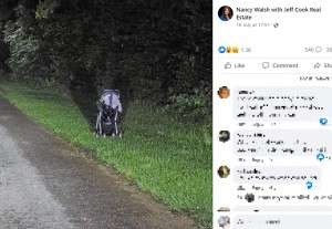livedoornews's tweet photo. 【危険】道端に放置されたベビーカー、米在住の女性「決して近寄らないで」
https://t.co/GesgPErNea

茂みや木の後ろに隠れた人物が強盗や誘拐などを企てている可能性があるとして、運転中、道路脇にベビーカーやチャイルドシートがあるのを見かけても「絶対に外に出ないで」と呼びかけた。 https://t.co/wdEfVCH4Ey
