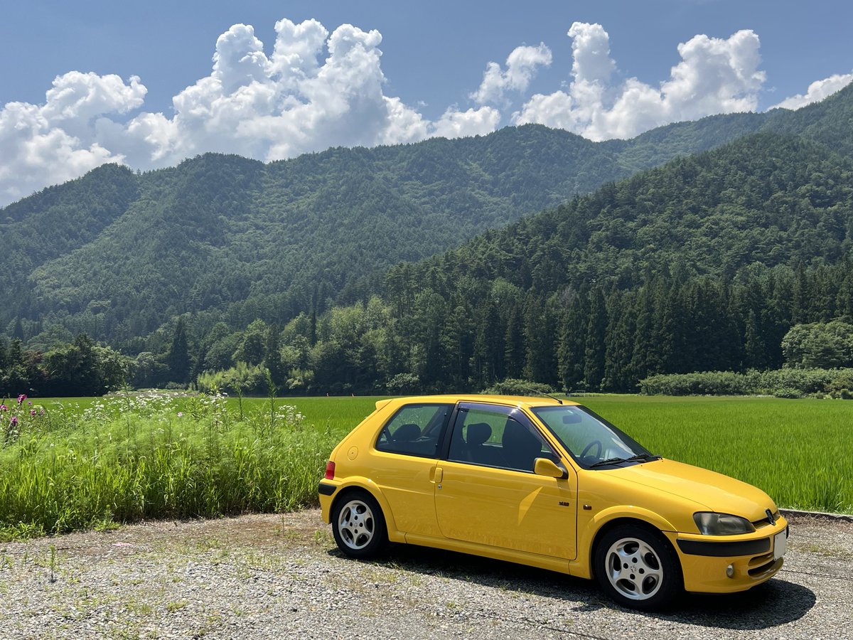 perrari2's tweet photo. 夏の空に黄色が映えて、いつも以上にかわいく見える…！ https://t.co/q3TGwwxxnu