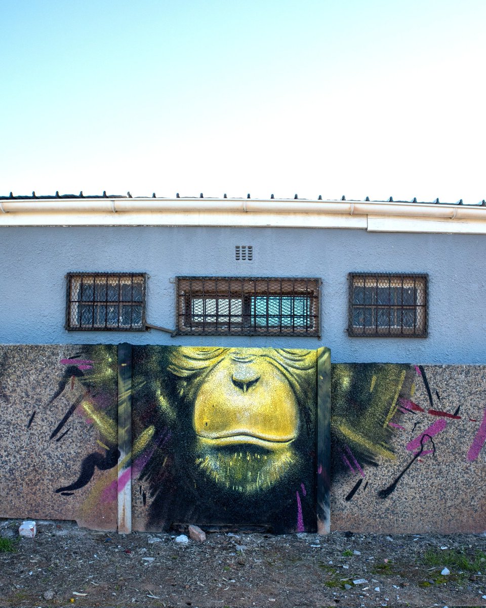 FALKO SEE. 
FALKO DO. 
#streetartsouthafrica #sitespecificart #falkoseefalkodo