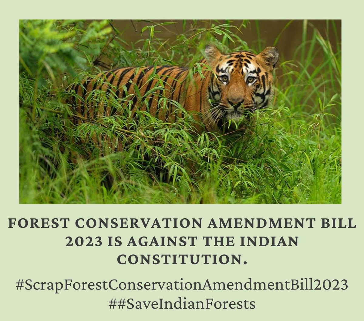 nahluwalia20's tweet photo. “None of the criticisms or recommendations were taken on board or given due consideration by JPC undermining the democratic process. Whole exercise of inviting comments seems pointless" said @prernabindra

@prasantalulu62 @ShayarImran
#SaveIndianForests #WithdrawFCAbill2023 https://t.co/RkjlodRFjM