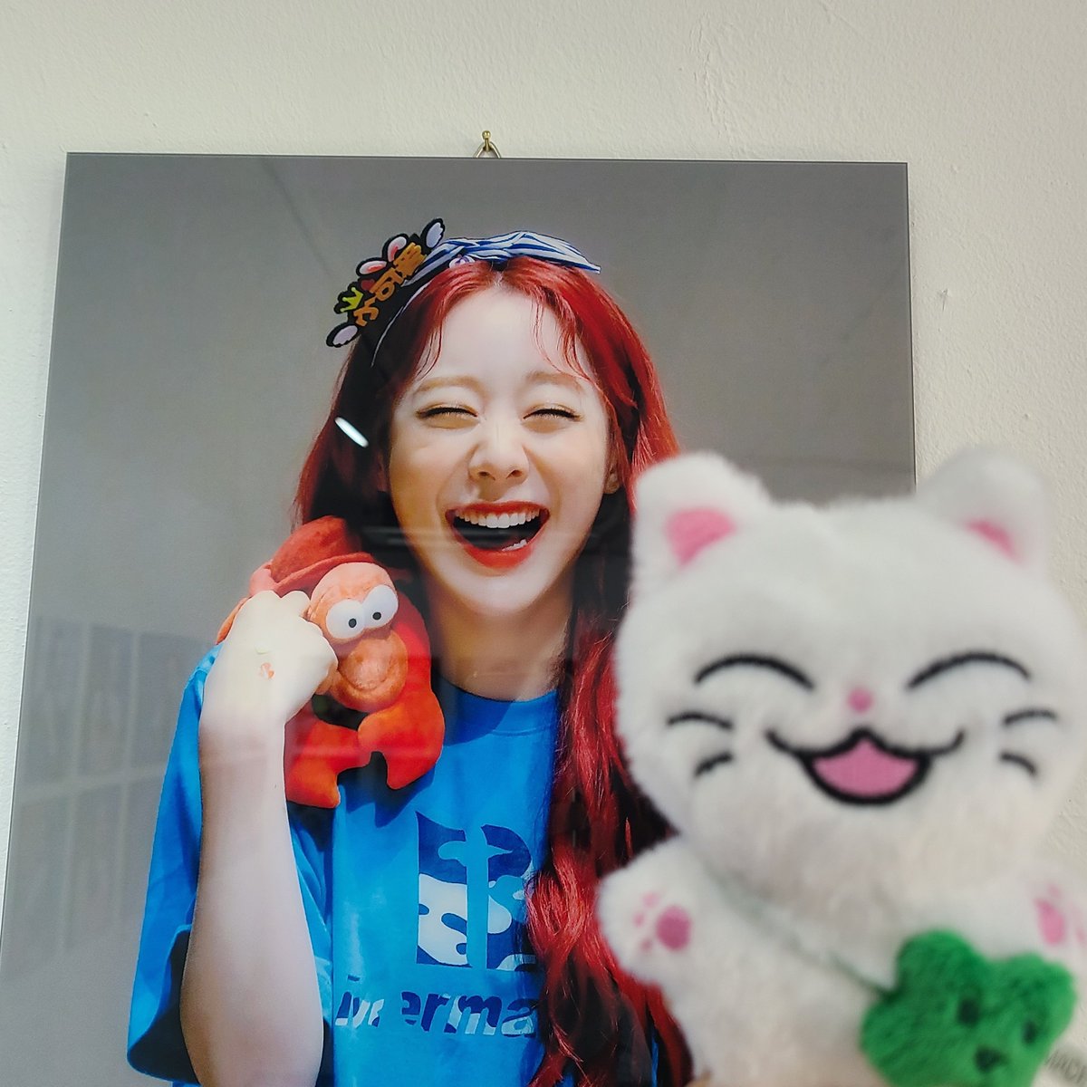 뎡냥이 보러 가따왓습니다 스텝분들 너무 틴덜하고 조아요👍 소문대로 진짜 강강술래 맛집이엇네요
근데 놀라운점:뎡냥이 연쩡이랑 진짜 똑가치생김.ㄷㄷ
#해피벌떼걸연정이