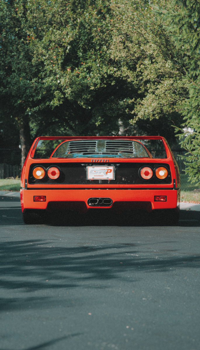 SHADWHITE💭 tweet media