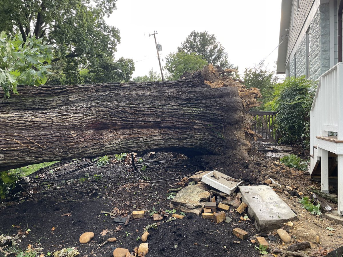 We have some firewood here in Lyon Par if anyone has a chainsaw! <a href="/ARLnowDOTcom/">Arlington Now</a>