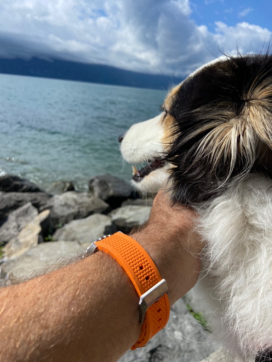 johnstontony's tweet photo. Floating the boat
Avec D1ver Dog, The Yak @TheMonksee
#Sundee @SwissD1VER https://t.co/pl9npNANHn