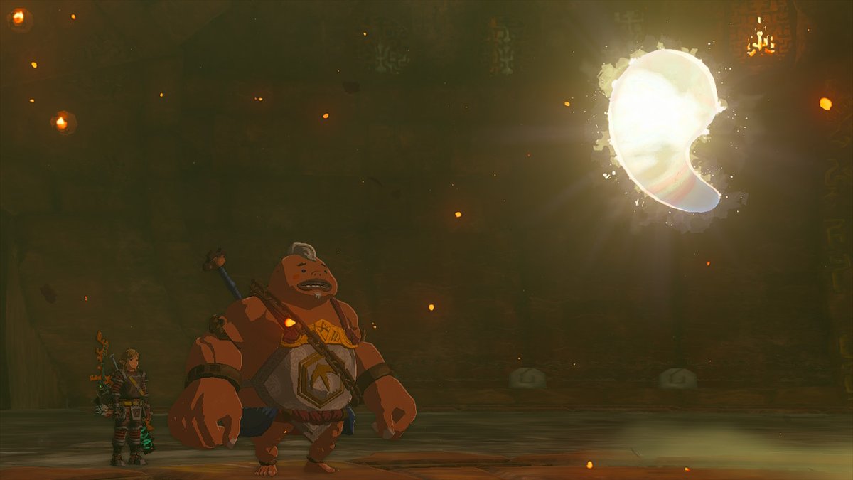 mikrobyte's tweet photo. #TearsOfTheKingdom #Zelda #NintendoSwitch https://t.co/gW5vh67FRU