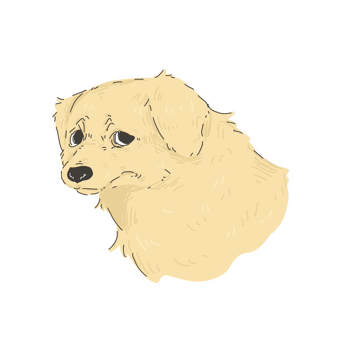 zoo69712356's tweet photo. 犬見て https://t.co/AKTeFcX4Dh