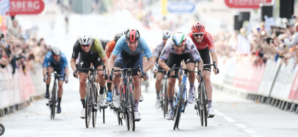 Your Harlow tweet media