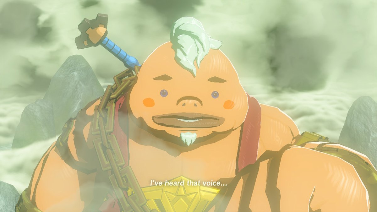 mikrobyte's tweet photo. #TearsOfTheKingdom #Zelda #NintendoSwitch https://t.co/lmKGqMUkXI