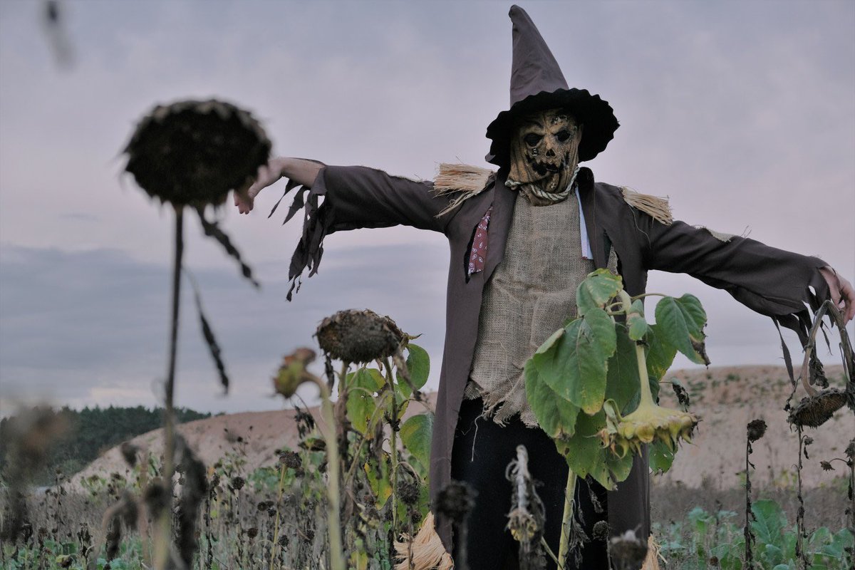 WadeJo8's tweet photo. #ScarecrowSunday https://t.co/spyPhoUh91