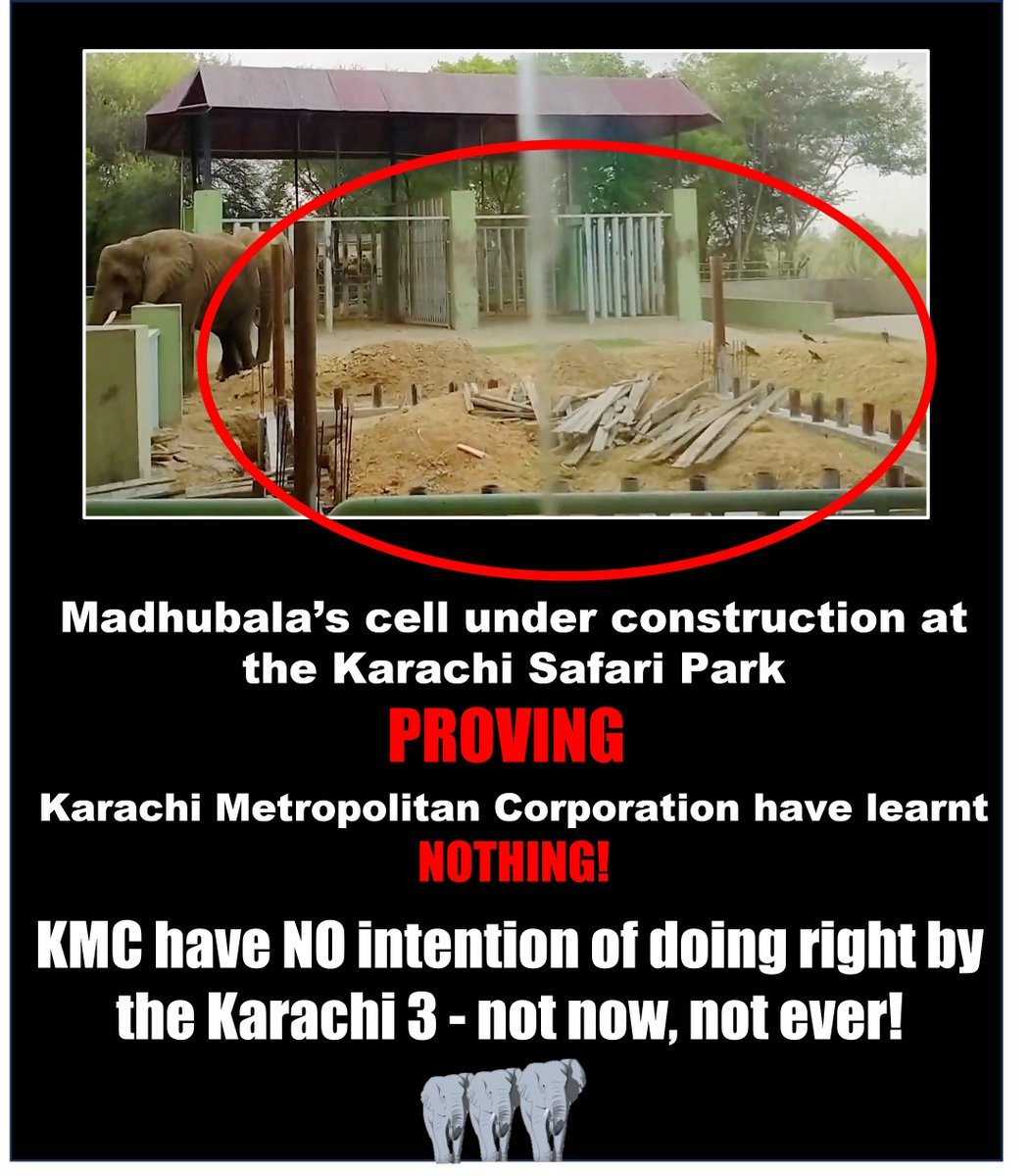 Sanctuary? Think Again! @KmcPakistan Have learnt nothing nor do they have ANY good intentions for #Karachi3 🐘🐘🐘@KamranTessoriPk @DrSyedSaif @murtazawahab1 #NoElephantsinPakistan #Sanctuary4Karachi3 #EmptyPromises