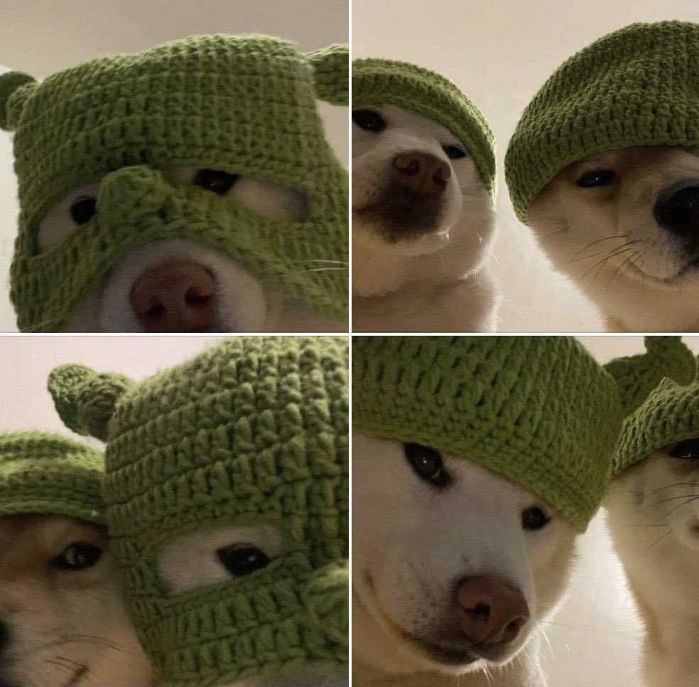 หนุ่มหล่อ