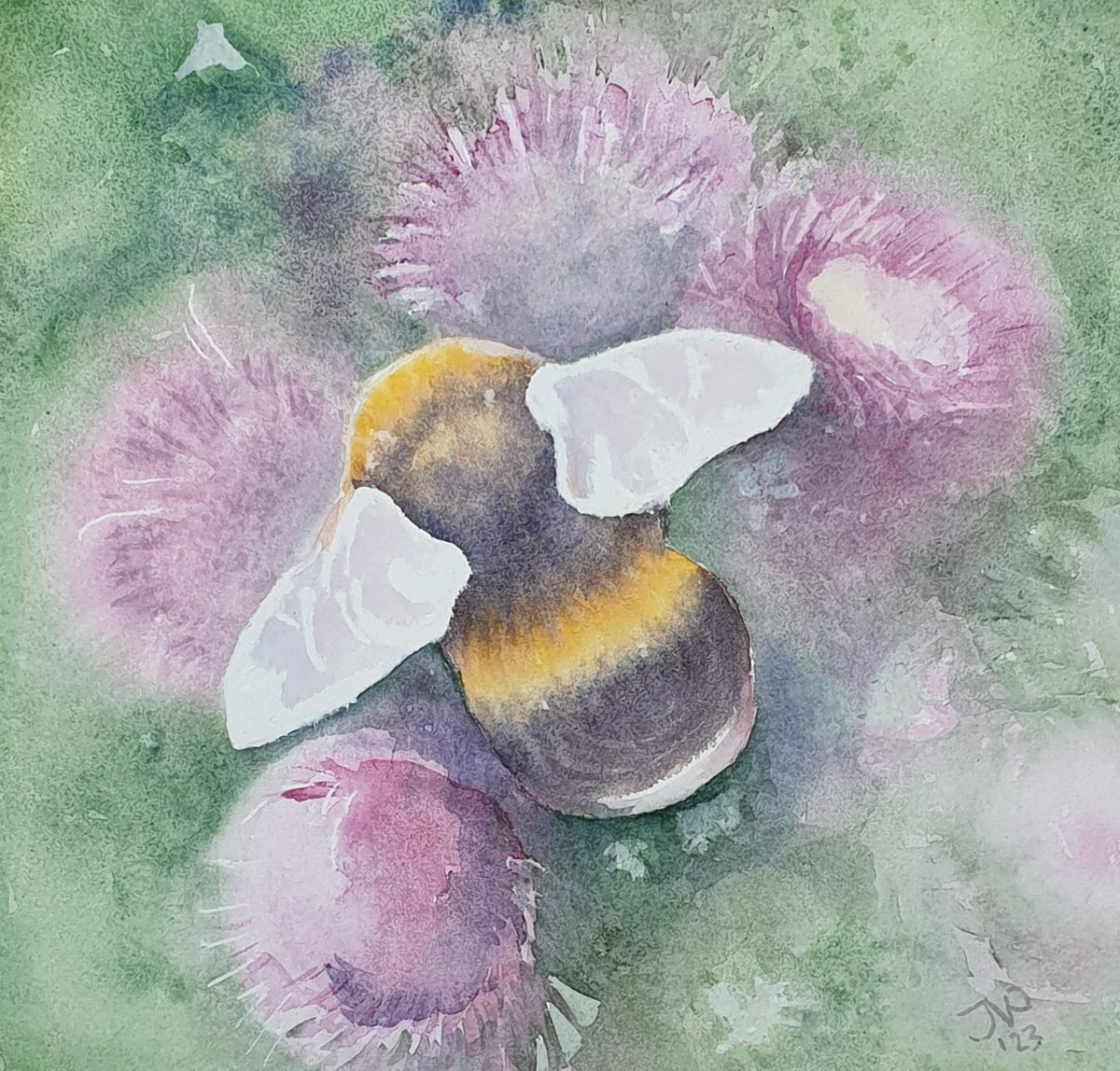 ArtEnJoyce's tweet photo. Bumblebees on distels.  Watercolour paintings. 
Joyce van Paassen ©️ 

#watercolor #aquarel #watercolorpainting  #watercolorillustration #watercolorpaper
#nature #natuur  #naturepainting #broekpolder #bumblebee
#hommel #insect https://t.co/dTZHxLAP4R