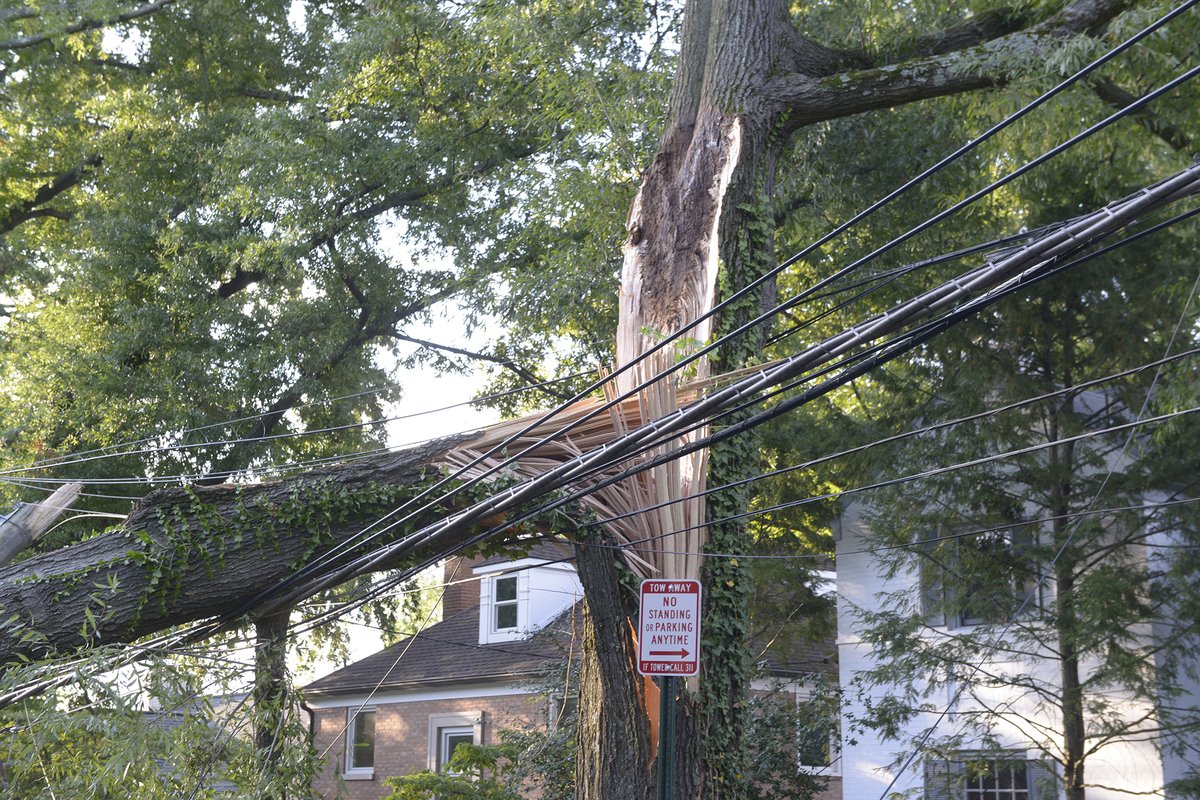 Pepco tweet media