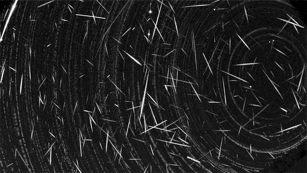 Denis Vida tweet media