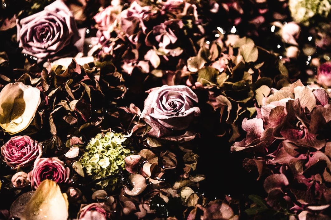 The beauty of darkness lies in the petals of these roses..

#DarkRoses #GothicGarden #MysteriousBeauty#GothicStyle  #DarkAesthetic #GothicArt

Dark Roses 8

opensea.io/assets/ethereu…

#nft #nftart #metaverse #nftcommunity #nftcollector #nftartist #cryptoartist