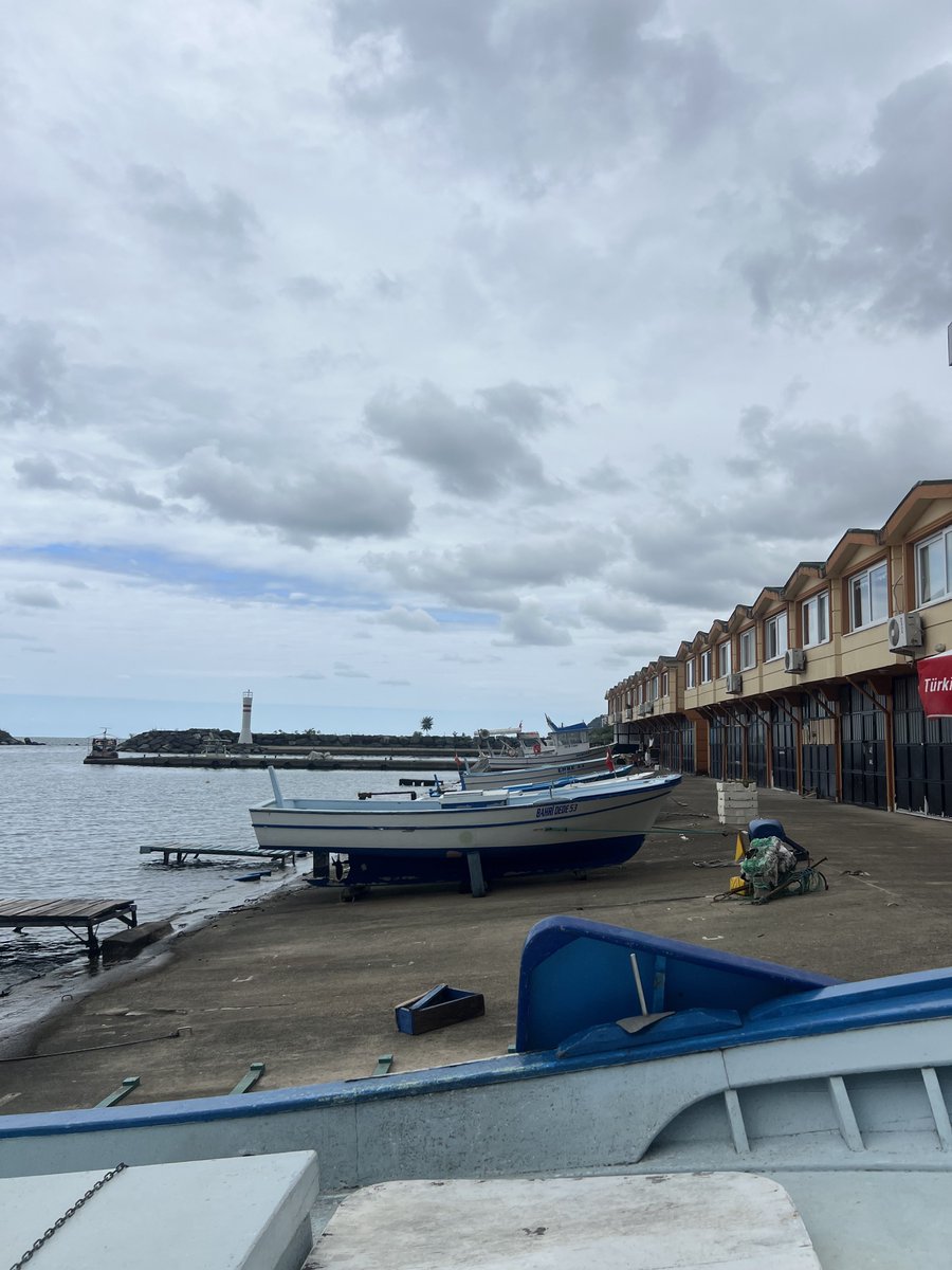 Alpay Arslan (@alpay53) on Twitter photo 