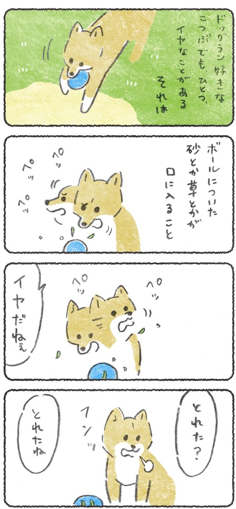 ドッグランで許せないことがある犬(1/2) 