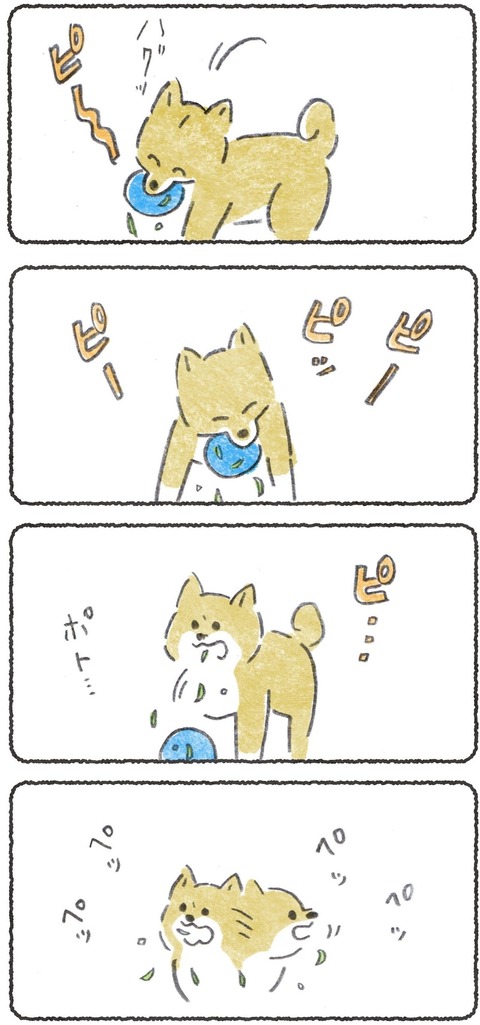ドッグランで許せないことがある犬(1/2) 