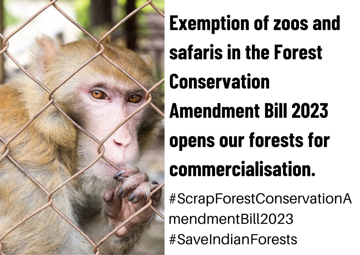 A zoo filled with exotic,captive animals can never be a replacement for a thriving natural forest. FCA Bill 2023 will exempt zoos from forest clearances which will lead to commercialisation of our forests @harbhajan_singh @kharge #SaveIndianForests #WithdrawFCAbill2023