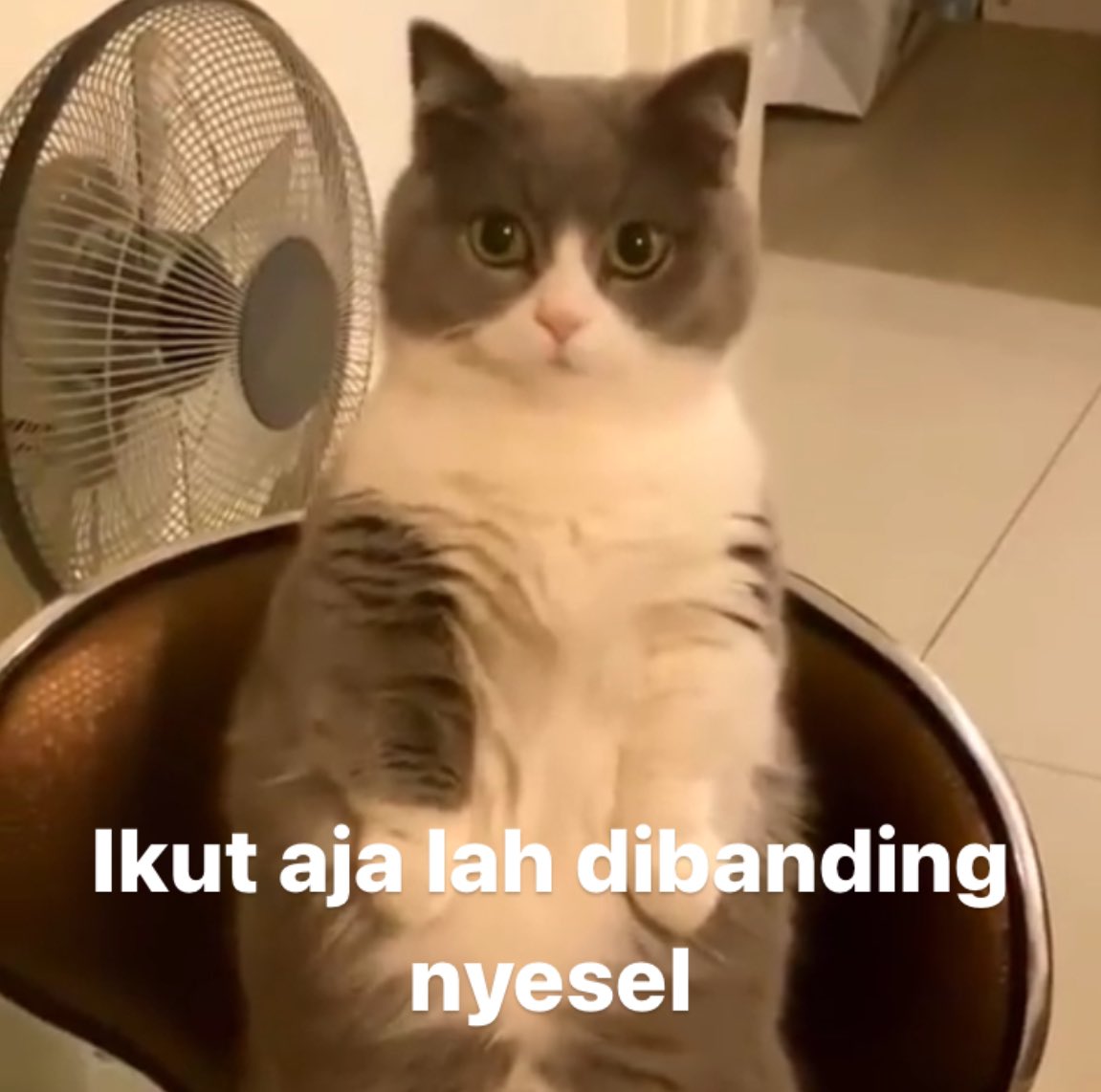 chocostudy_'s tweet image. Wah kamu calon maba FOMO yang bentar-bentar mau daftar karna liat temen. 🥵😳

Sini, aku kasih saran hal apa aja ya yang jadi pertimbangan untuk kamu daftar organisasi! 👏🏻