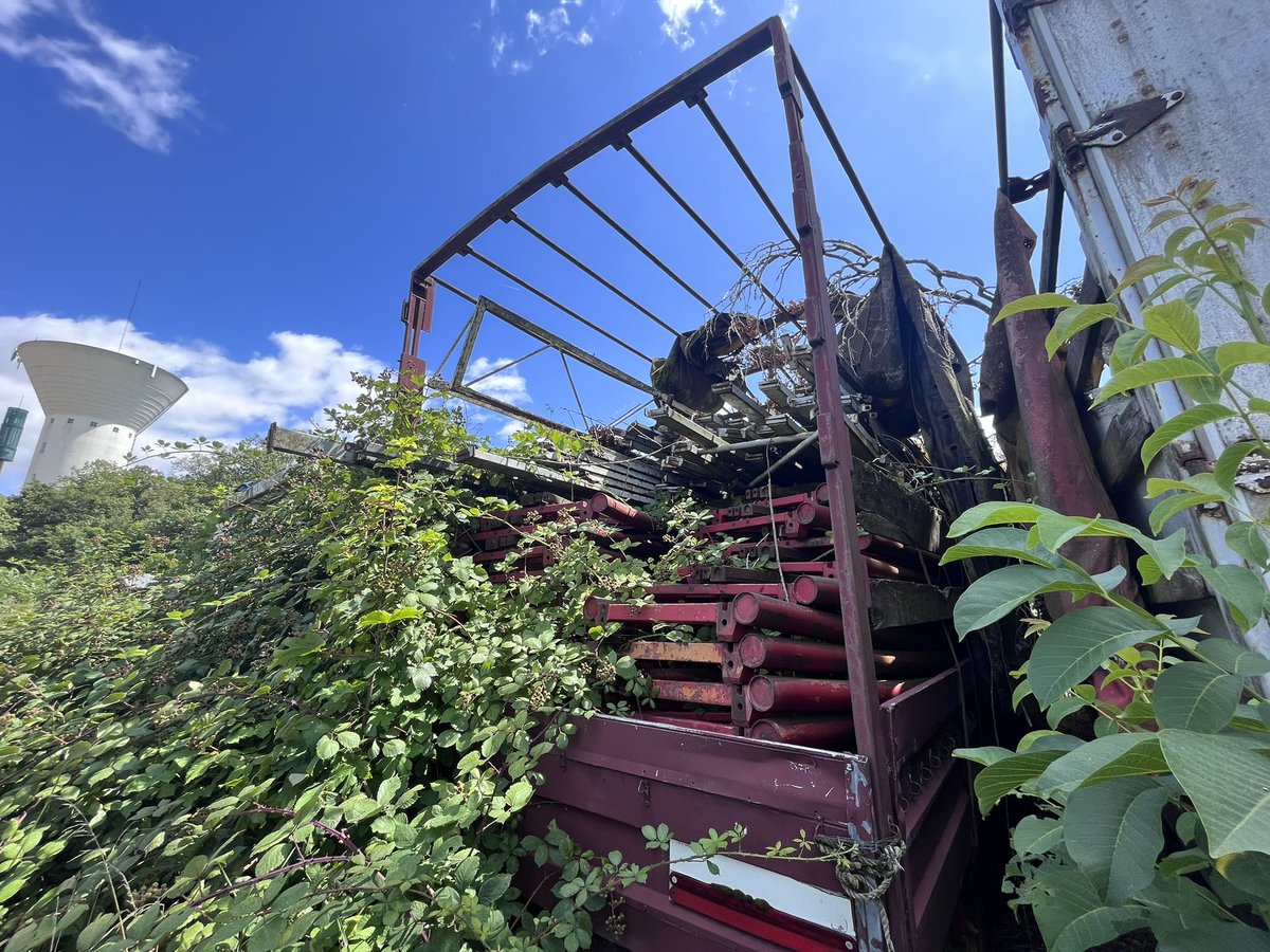 Simon de Bruijn tweet media