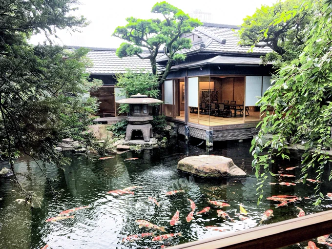 #VIVANT で映ったの、もしや築地の『つきじ治作』かな?  800坪の高級旅館のような料亭!元・岩崎弥太郎一族の別邸。150匹の鯉が泳ぐ庭を囲むように建てられた木造二階建。床は全て畳。お香と井草とヒノキの香りに包まれる空間。  名物の水炊きをはじめお料理もかなり美味しかった!
