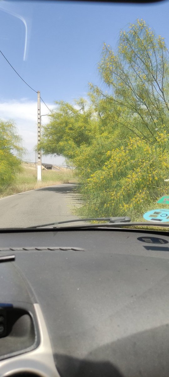 isabelmatasr's tweet photo. @eveliarincon hola! La vegetación de la carretera de acceso a padre Pío por la se30 vuelve a dificultar la visibilidad de los conductores, más aún de noche... Podrían volver a podarla? Gracias https://t.co/bAyFfZakwd