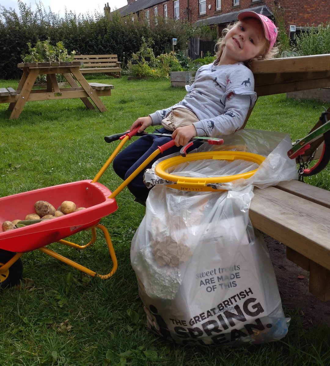 hambletonwomble's tweet photo. #miniwombles https://t.co/SpolG9n4dg