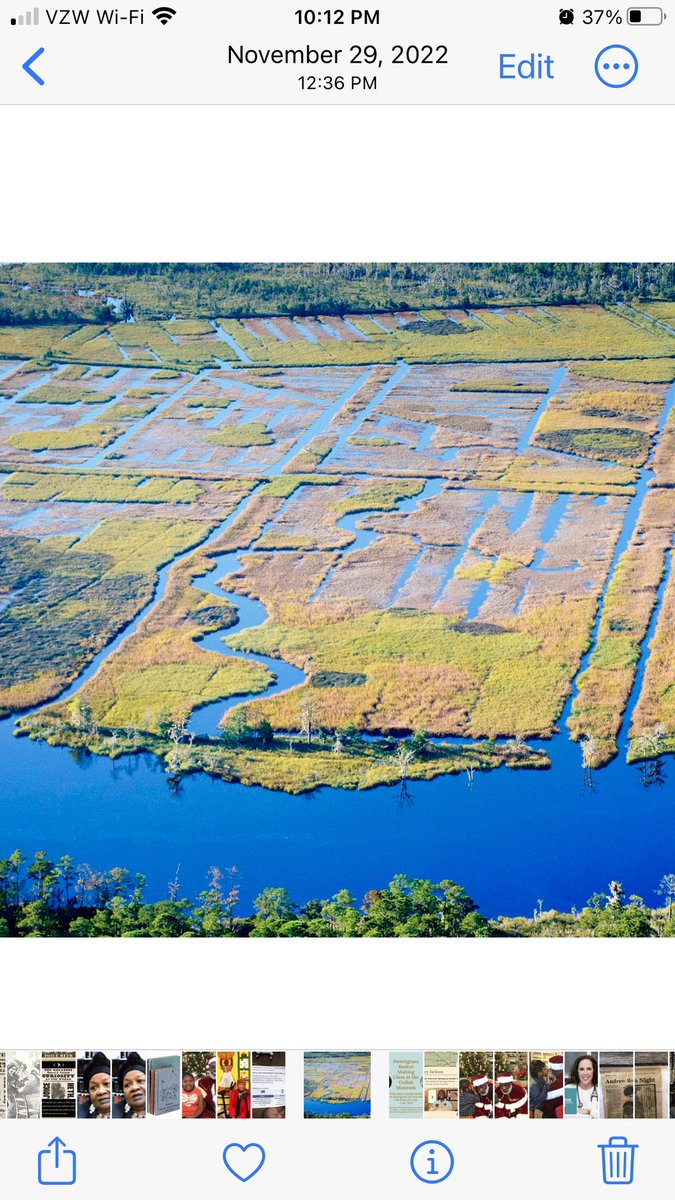 Using modern mapping techniques, researchers found that over 236,000 acres of rice fields—built on the backs of the Gullah Geechees ancestries—once covered 160 miles of coastal South Carolina, from Georgetown and Horry counties to the SC-GA border.