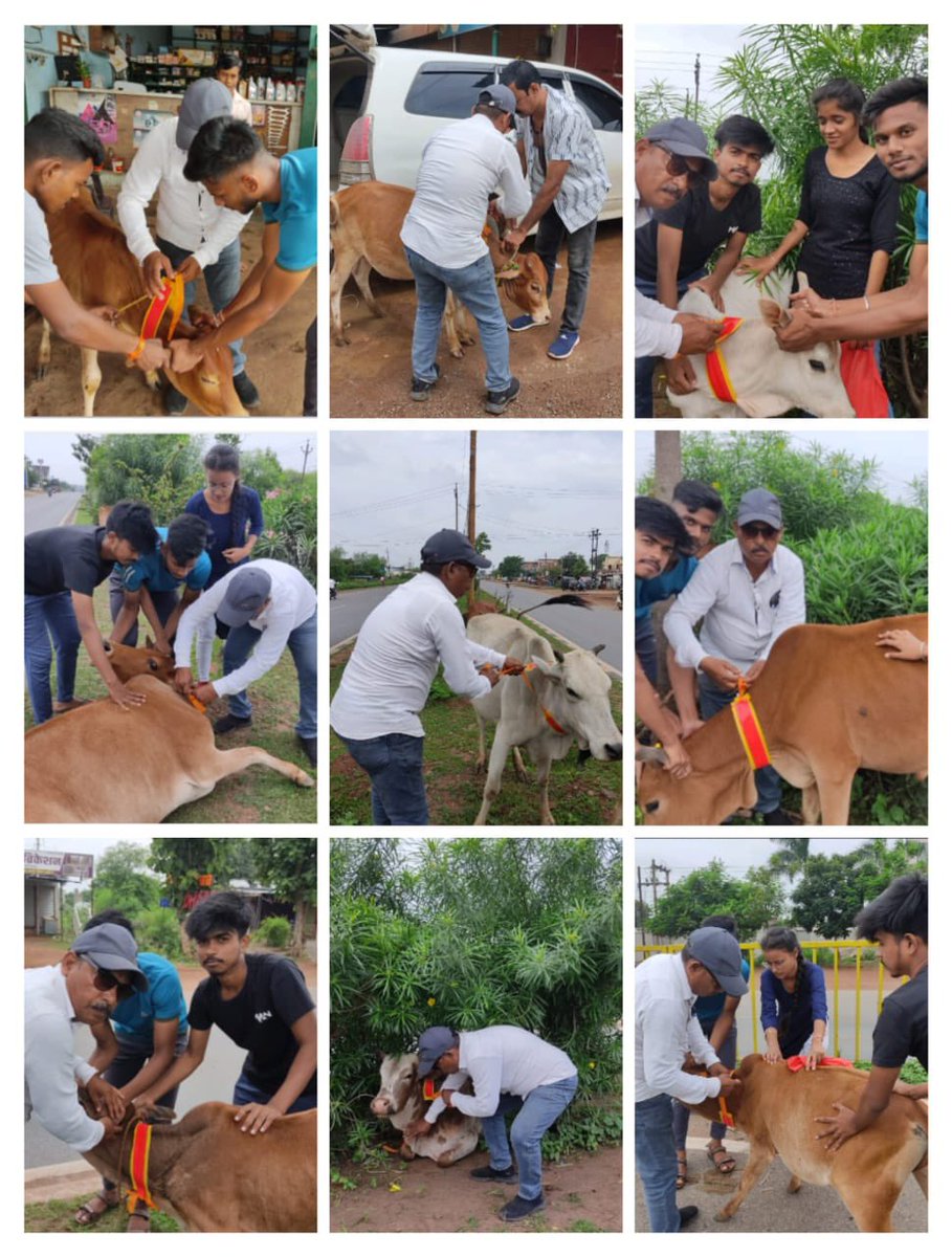 IASTripathiCG's tweet photo. Application of radium belt on stray animals in Rajnandgaou district started at NH 53
#StrayCattles
#ReflectiveBelts
#NHSH
#JointActivity
#Animalwelfare @ChhattisgarhCMO @RChoubeyCG @amitabhjn @KPSingh_IAS https://t.co/4etQoBoTOj